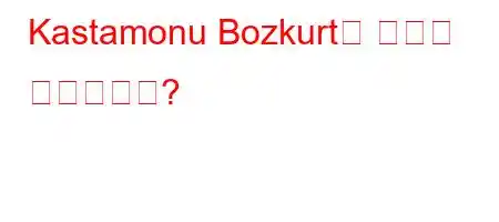 Kastamonu Bozkurt는 어떻게 되었습니까?